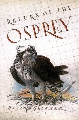 Return of the Osprey: A Season of Flight and Wonder