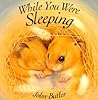 While You Were Sleeping by John Butler
