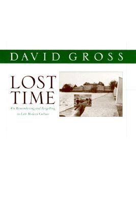Lost Time: On Remembering and Forgetting in Late Modern Culture (Critical Perspectives on Modern Culture)