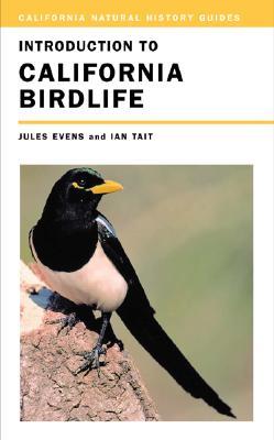 Introduction to California Birdlife (Paperback)