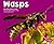 Wasps (Pebble Plus)
