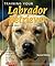 Training Your Labrador Retriever: Veterinarian-Approved Training Book for Yellow, Chocolate, and Black Labrador Retriever Puppies and Older Dogs (Training Your Dog Series)