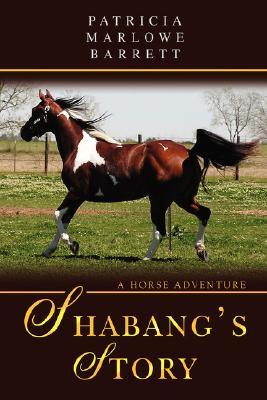 Shabang's Story: A Horse Adventure (Paperback)