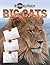 Big Cats: Drawing and Reading (Explore and Draw)