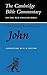 The Gospel according to John (Cambridge Bible Commentaries on the New Testament)