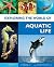 Exploring the World of Aqua...