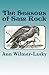 The Seasons of Sam Rock by Ann Wilmer-Lasky