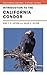 Introduction to the California Condor