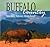Buffalo Country: America's National Bison Range