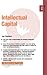 Intellectual Capital: Innovation 01.06 (Express Exec)