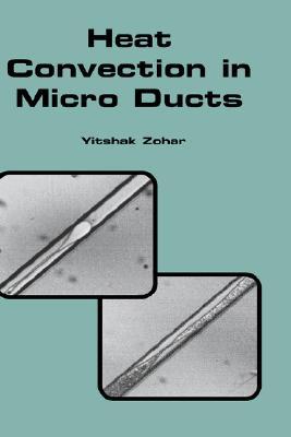 Heat Convection in Micro Ducts (Microsystems, 11)