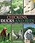Chickens, Ducks and Bees: A beginner's guide to keeping livestock in the garden