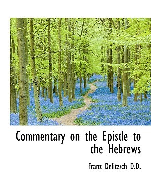 Commentary on the Epistle to the Hebrews, Volume 2 (Hardcover)