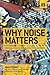 Why Noise Matters