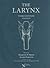 The Larynx, Third Edition, Volume 2