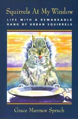 Squirrels at My Window: Life With a Remarkable Gang of Urban Squirrels (Paperback)