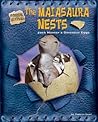 The Maiasaura Nests: Jack Horner's Dinosaur Eggs (Fossil Hunters) The Maiasaura Nests: Jack Horner's Dinosaur Eggs (Fossil Hunters)
