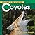 Welcome to the World of Coyotes (Welcome to the World Series)