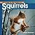 Welcome to the World of Squirrels (Welcome to the World Series)