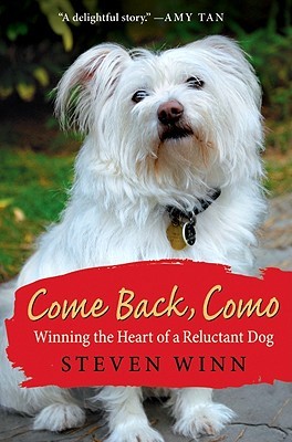 Come Back, Como: Winning the Heart of a Reluctant Dog (Hardcover)