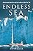Endless Sea by Amyr Klink