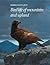 Bird Life of Mountain and Upland (Bird Life Series)