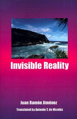 Invisible Reality (Paperback)