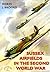 Sussex Airfields in the Second World War by Robin J. Brooks