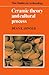 Ceramic Theory and Cultural Process (New Studies in Archaeology)