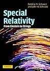 Special Relativity: From Einstein to Strings