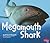 Megamouth Shark by Deborah Nuzzolo
