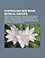 Australian New Wave Musical Groups: Men at Work, Inxs, Mental as Anything, the Church, Hoodoo Gurus, Icehouse, Hunters & Collectors, Divinyls