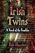 Irish Twins: A Novel of the Troubles