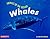 Whales (Animals of the Oceans)