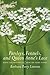 Parsleys, Fennels, and Queen Anne's Lace