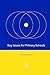 Key Issues for Primary Schools