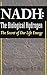 NADH: The Biological Hydrogen