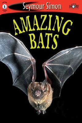 Amazing Bats (Paperback)