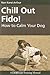 Chill Out Fido!: How to Cal...