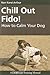 Chill Out Fido!: How to Calm Your Dog (Dogwise Training Manual)
