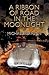 A Ribbon of Road in the Moonlight