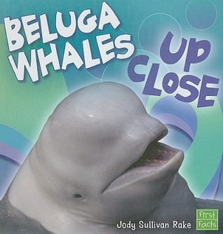 Beluga Whales Up Close (First Facts: Whales and Dolphins up Close)