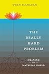 The Really Hard Problem: Meaning in a Material World