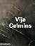 Vija Celmins (Phaidon Conte...