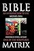 Bible Matrix: An Introduction to the DNA of the Scriptures