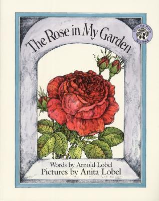 The Rose in My Garden (Paperback)