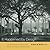 It Happened by Design: The Life and Work of Arthur Q. Davis