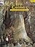 Carlsbad Caverns by Edward J. Greene