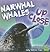Narwhal Whale Up Close