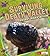 Surviving Death Valley: Desert Adaptation (Fact Finders Extreme Life)